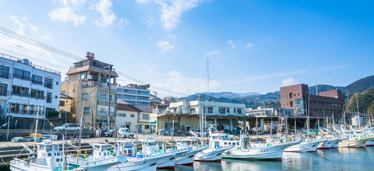 賀茂郡東伊豆町