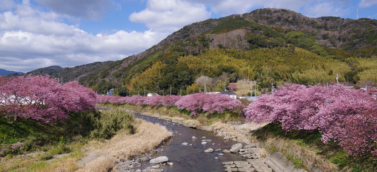 賀茂郡河津町