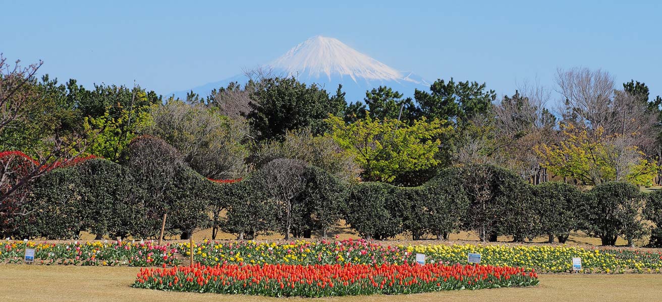 榛原郡吉田町