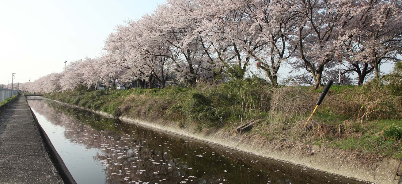 桑名郡木曽岬町