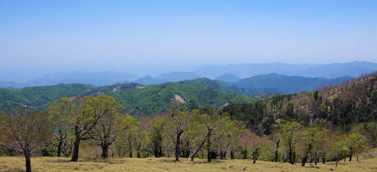 多気郡大台町