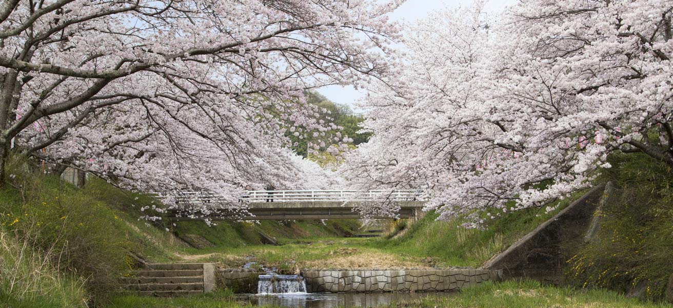 綴喜郡井手町