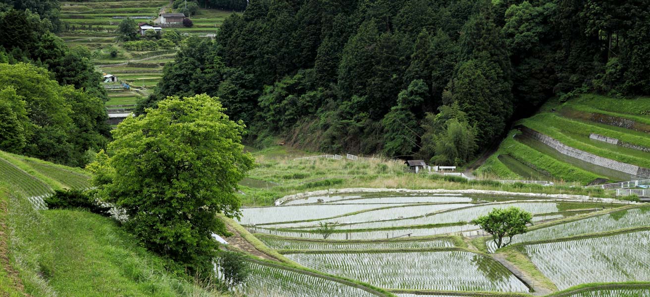 豊能郡豊能町