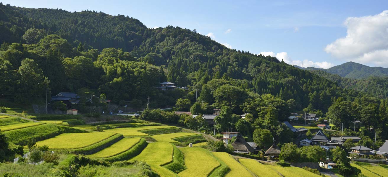 豊能郡能勢町