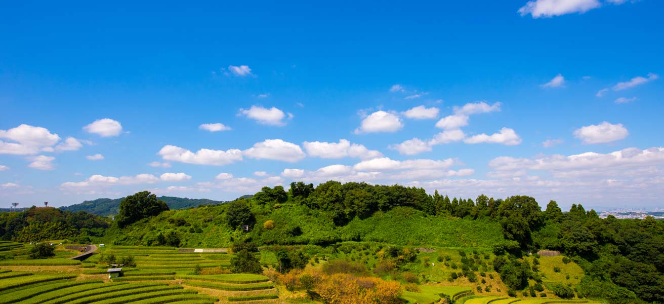 南河内郡千早赤阪村