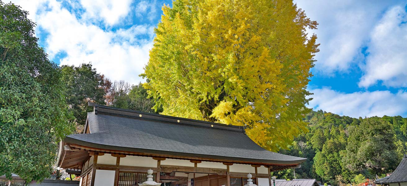 海草郡紀美野町