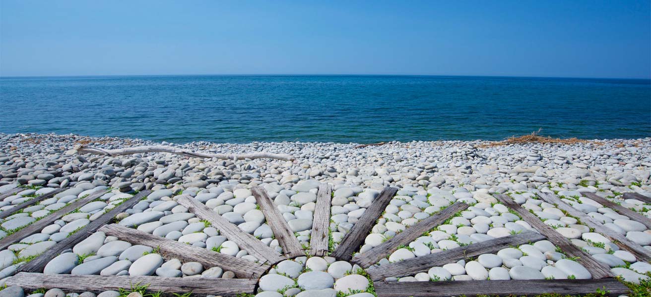 東伯郡琴浦町