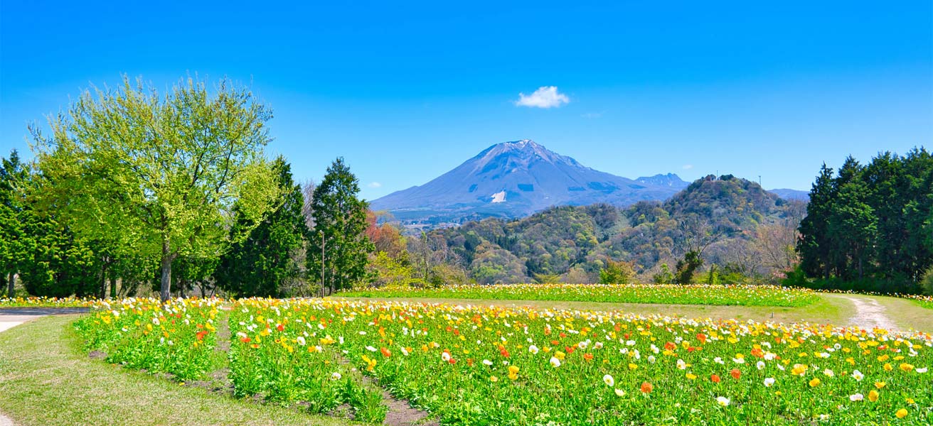 西伯郡南部町