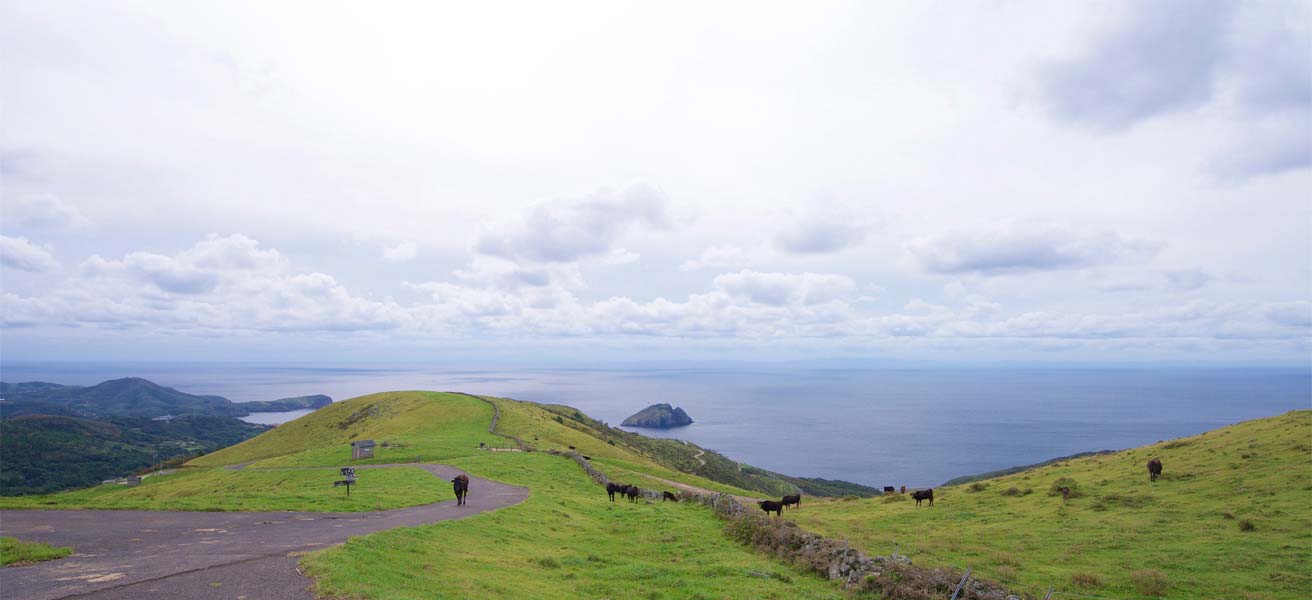 隠岐郡知夫村