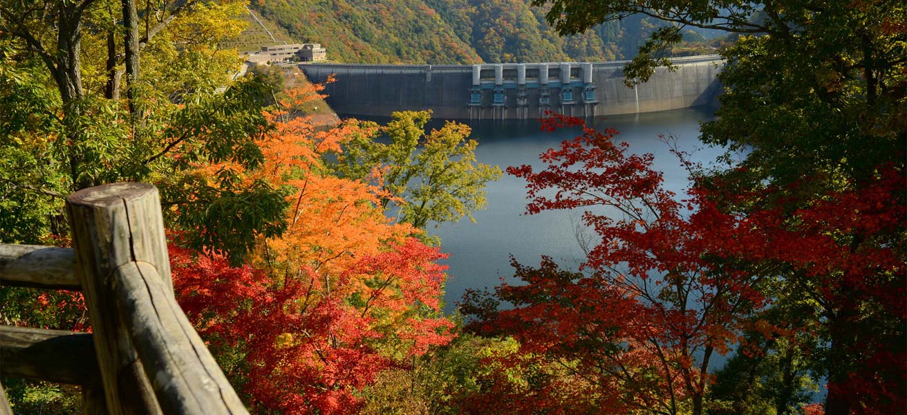 山県郡安芸太田町