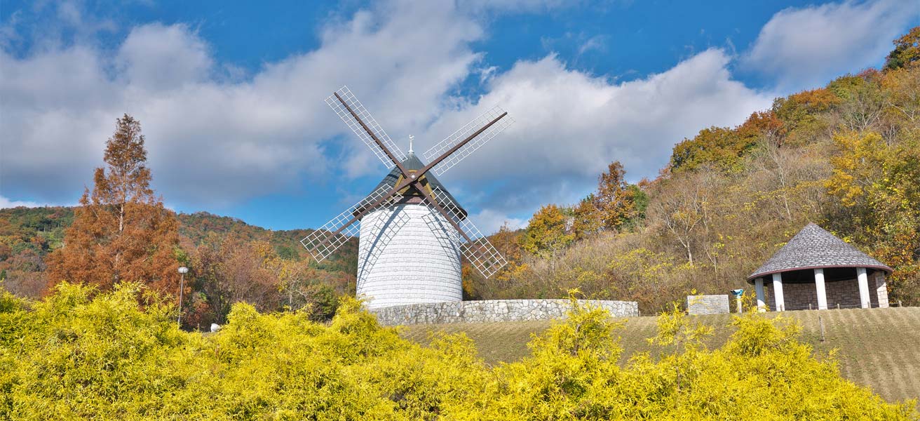 板野郡板野町