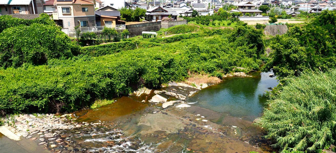 伊予郡砥部町