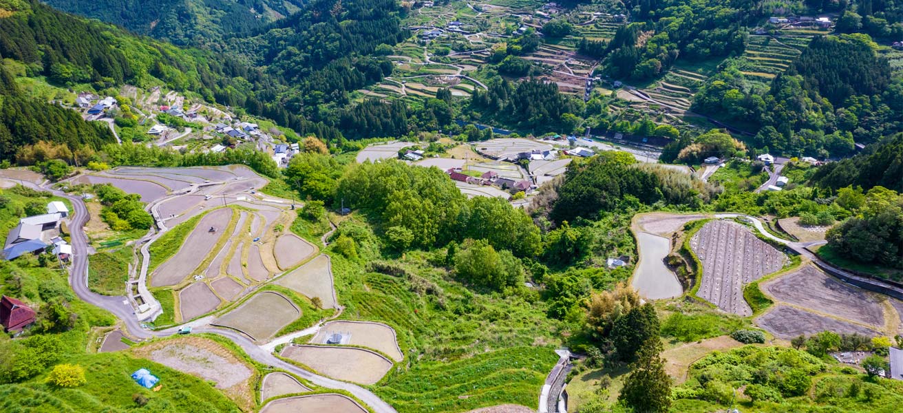 長岡郡大豊町