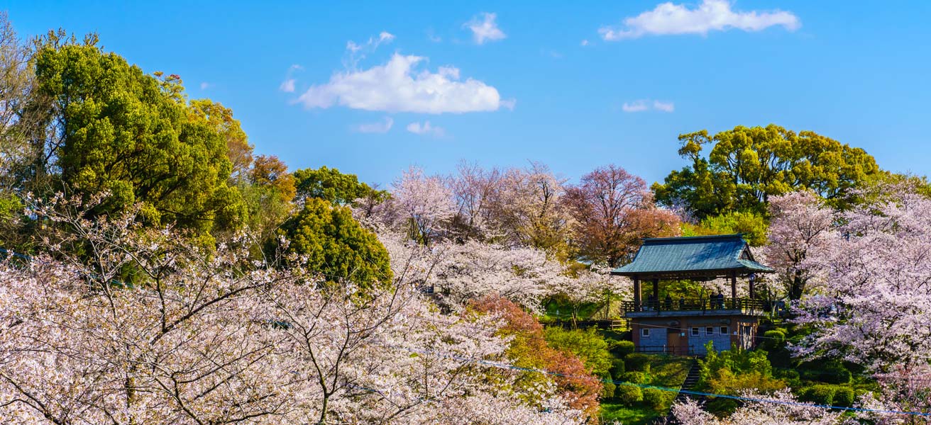 菊池市