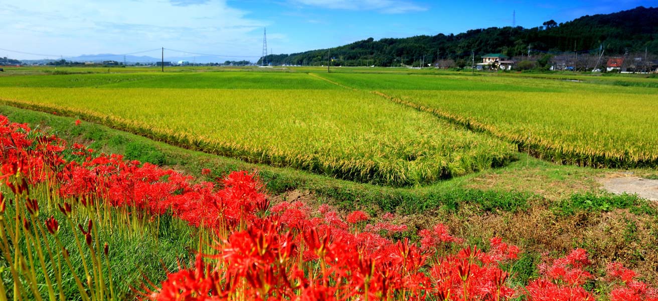 上益城郡益城町