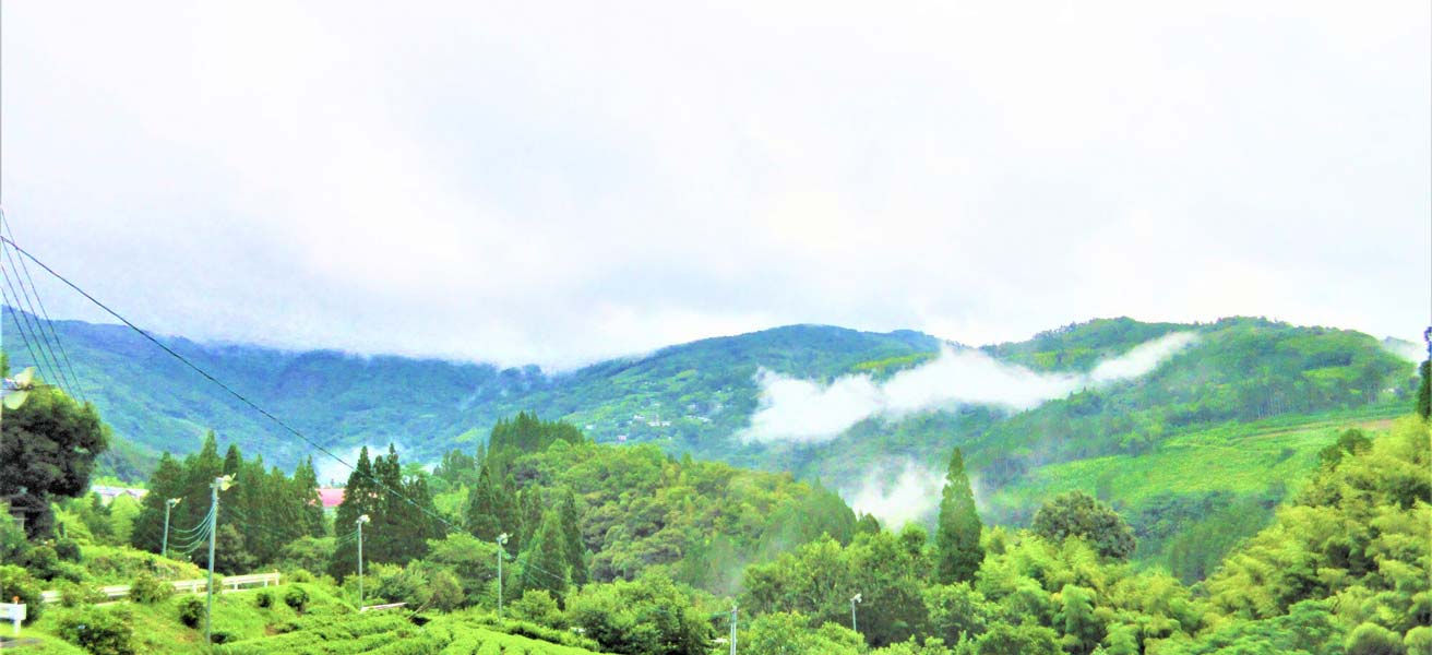 東臼杵郡諸塚村