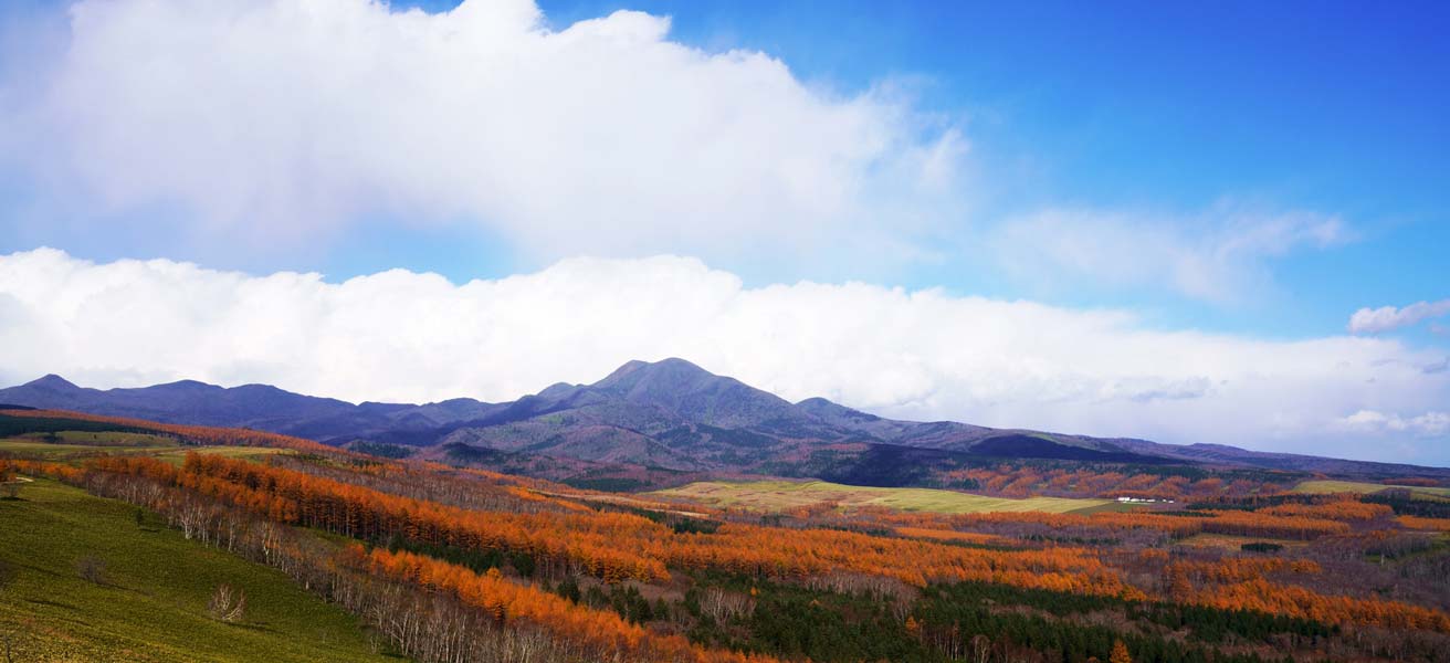 標津郡中標津町