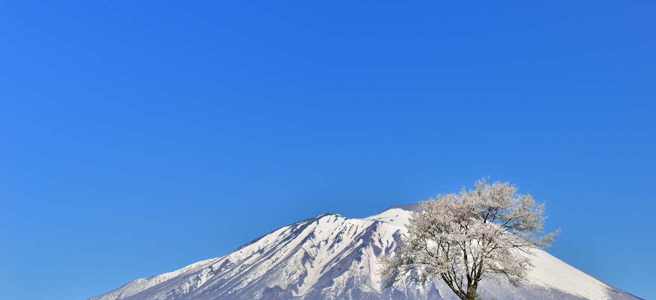 滝沢市