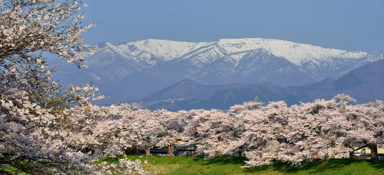 柴田郡大河原町