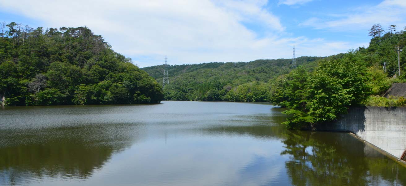 柴田郡村田町