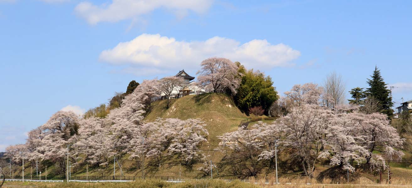 黒川郡大衡村