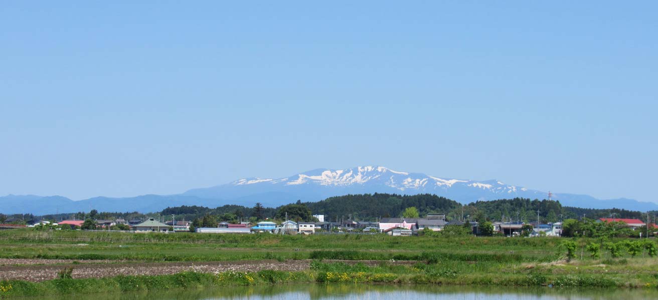 遠田郡美里町