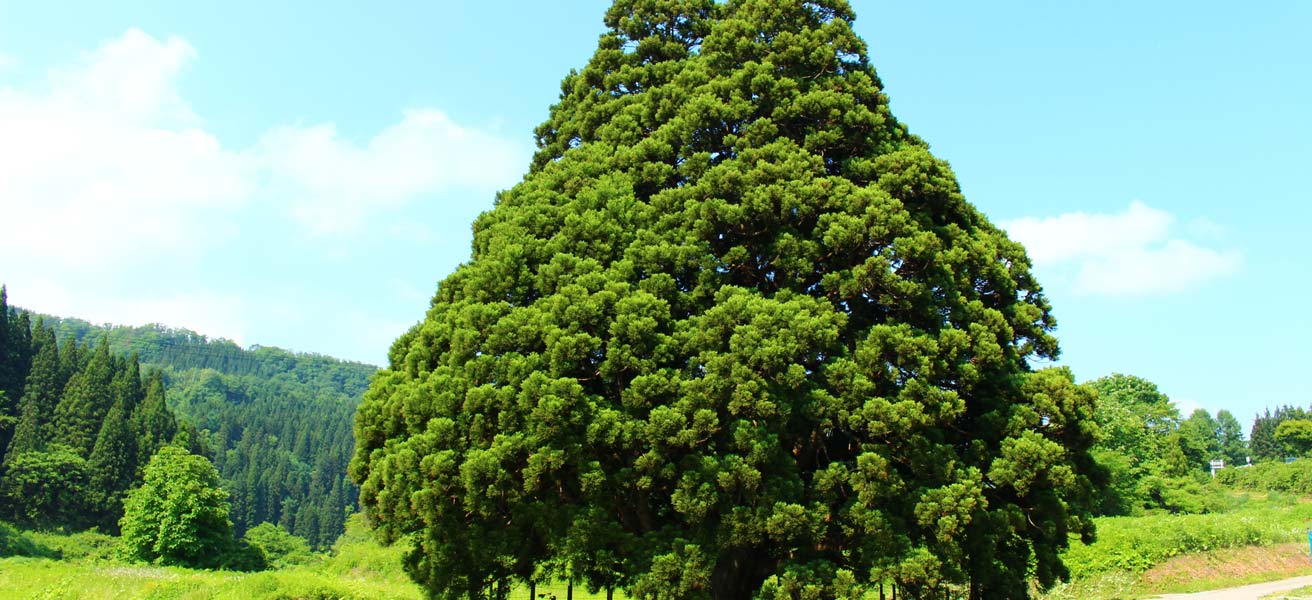 最上郡鮭川村