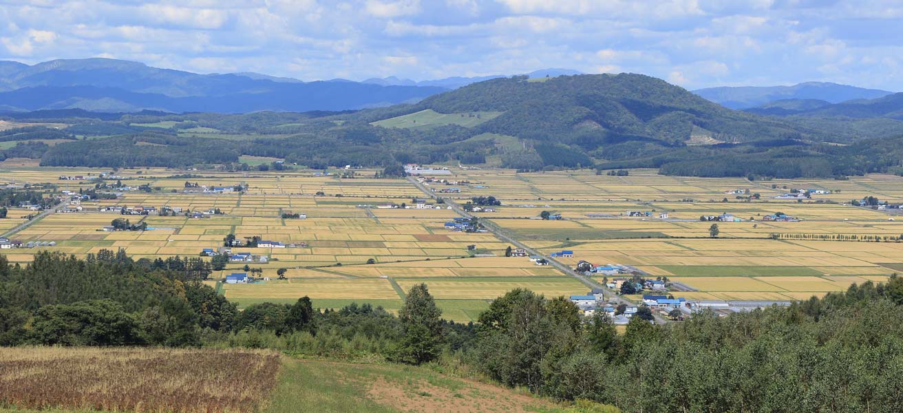 深川市