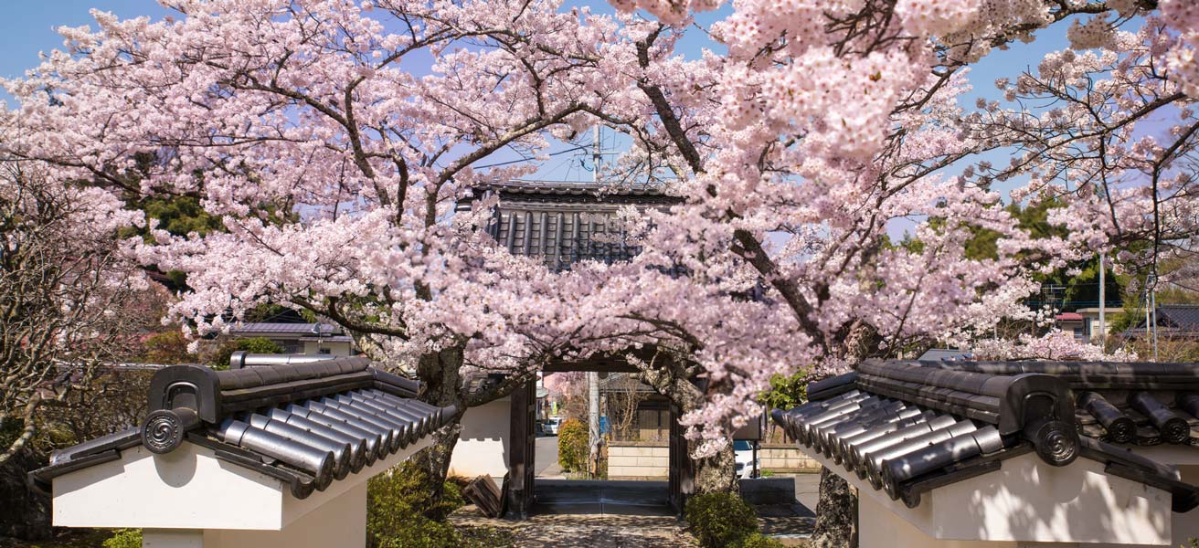 田村郡三春町