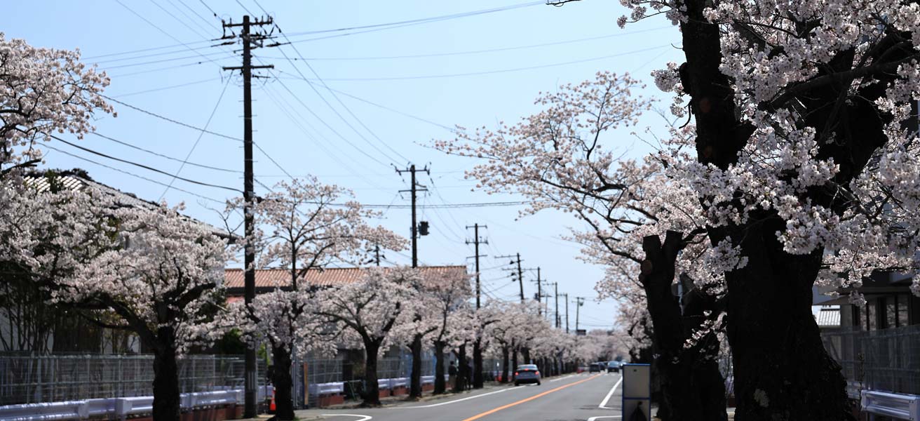 双葉郡双葉町