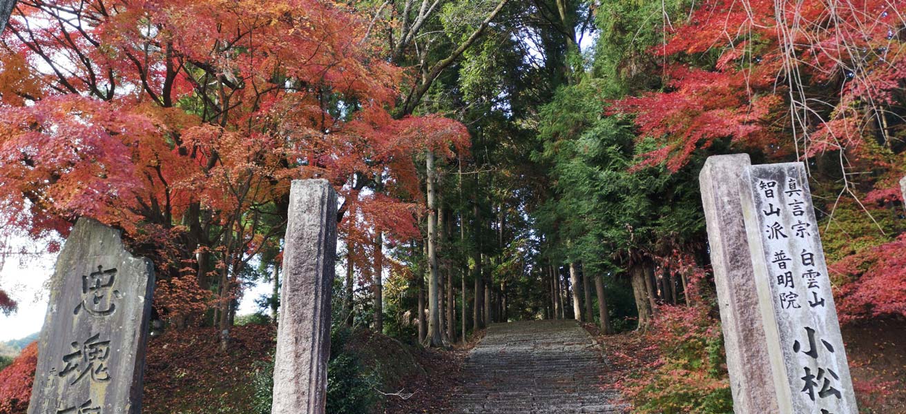 東茨城郡城里町