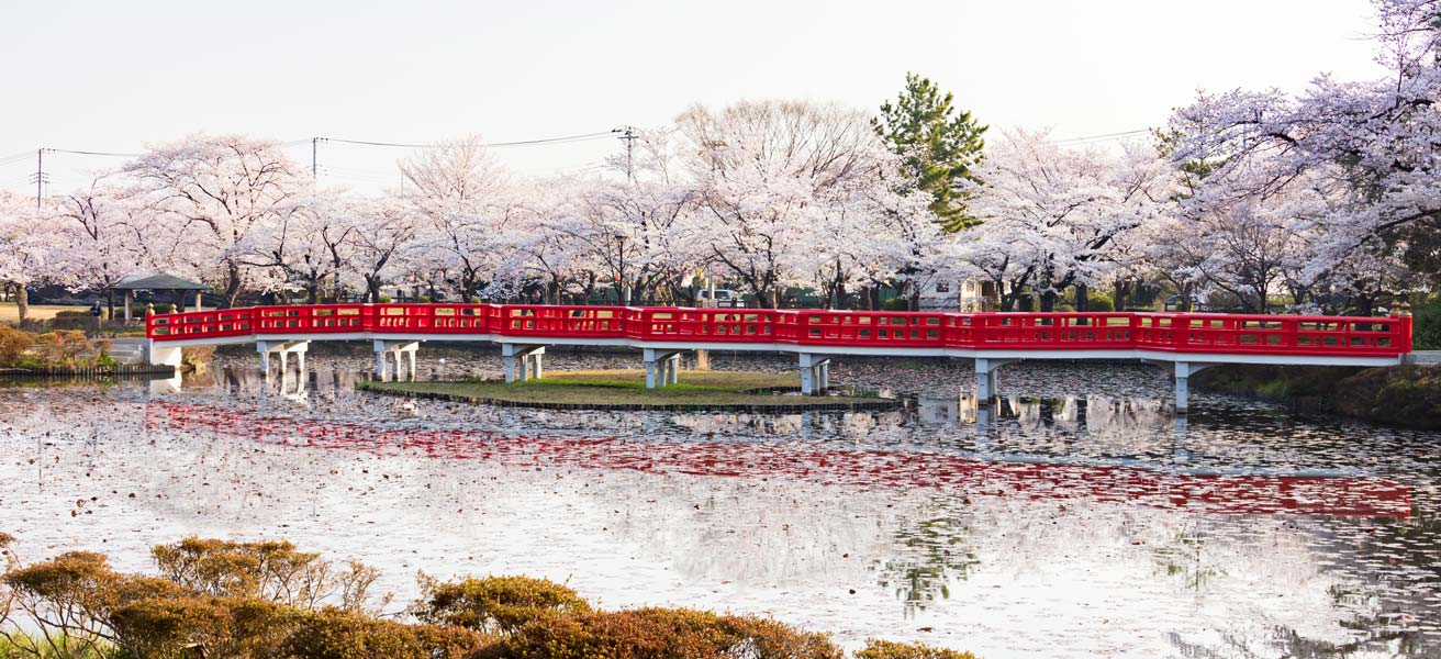 さいたま市岩槻区