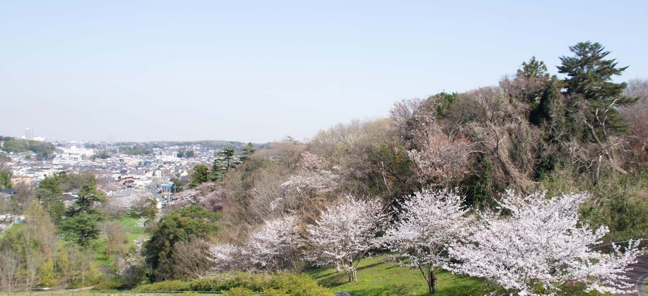 狭山市