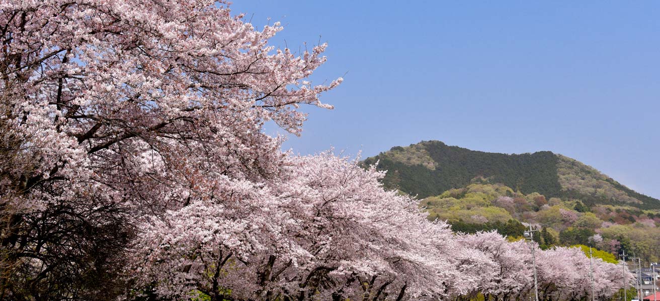 日高市