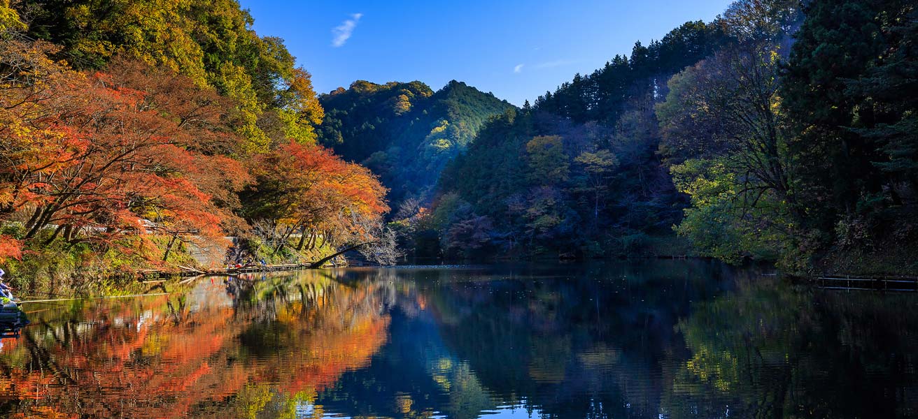 入間郡毛呂山町