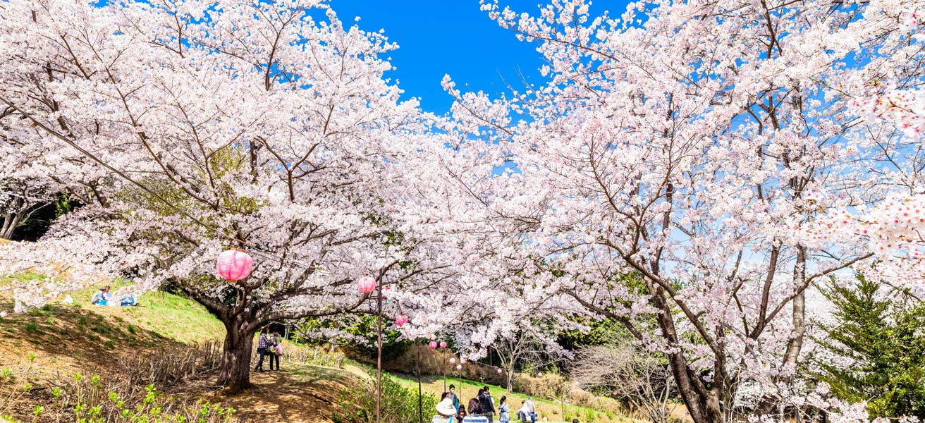 入間郡越生町