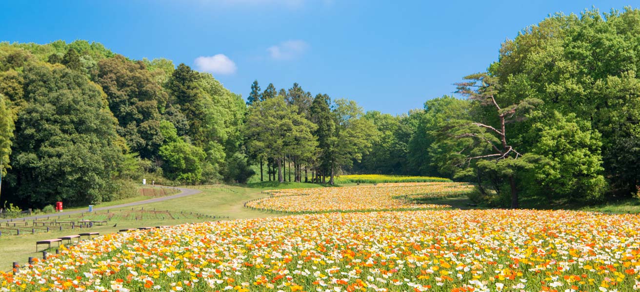 比企郡滑川町