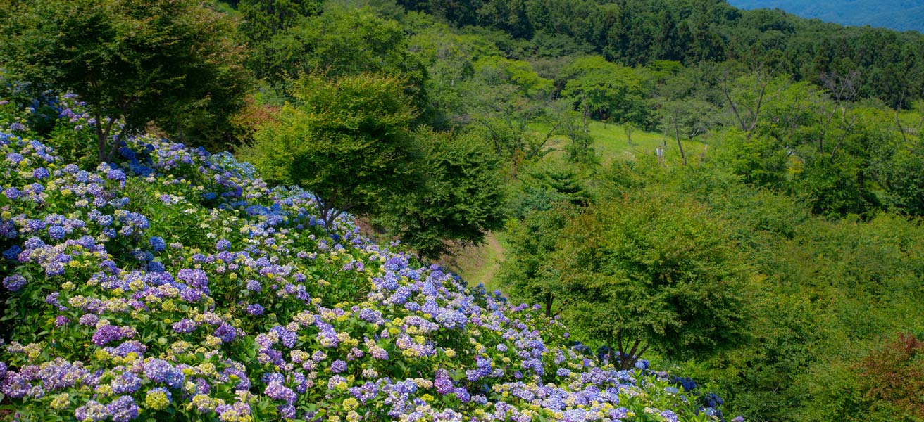 秩父郡皆野町