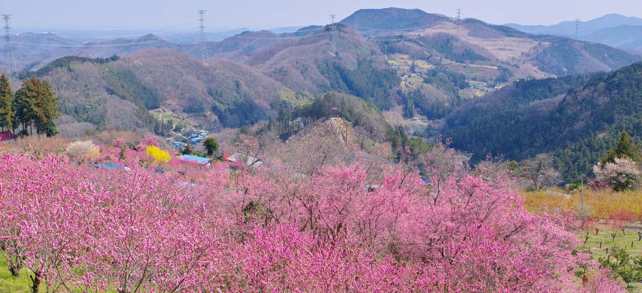 秩父郡東秩父村