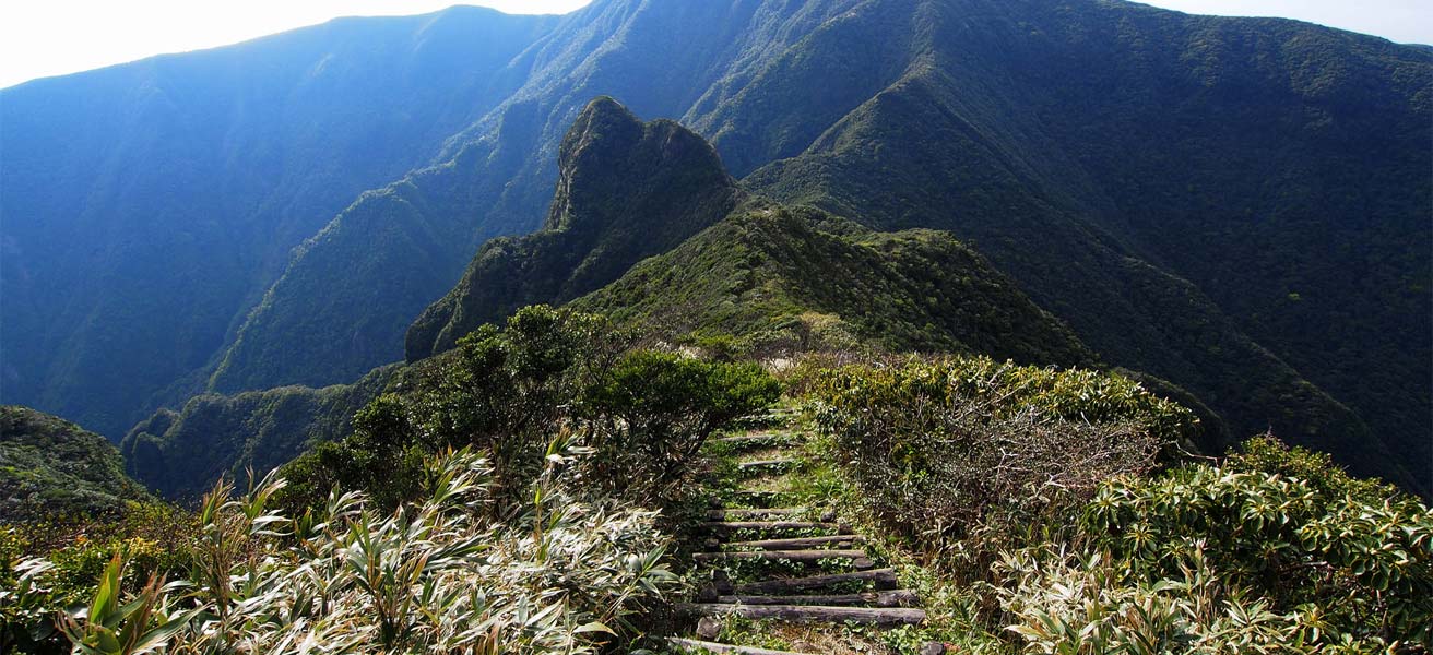 御蔵島村