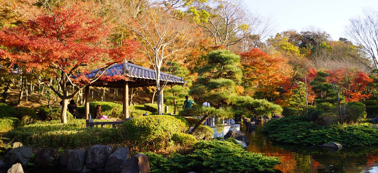 中郡大磯町