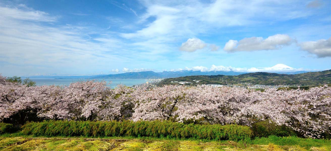 中郡二宮町