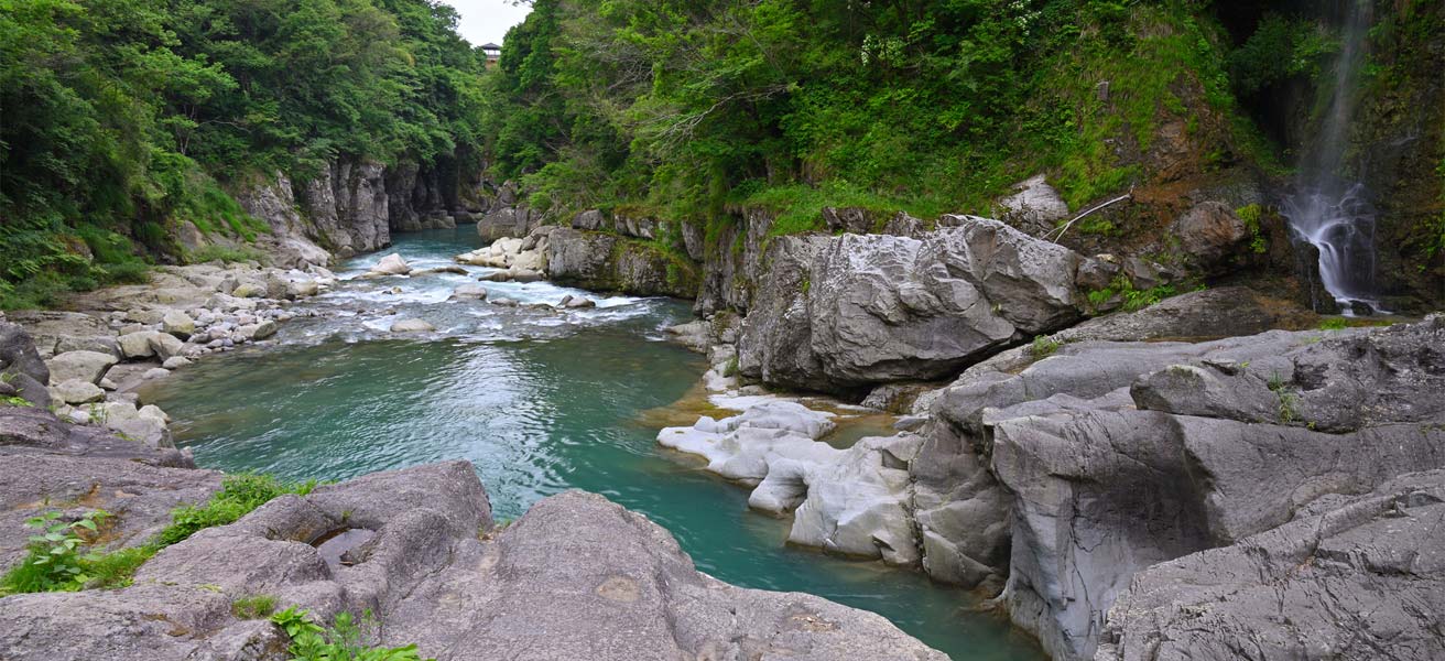 白山市