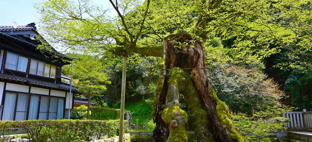 鹿島郡中能登町