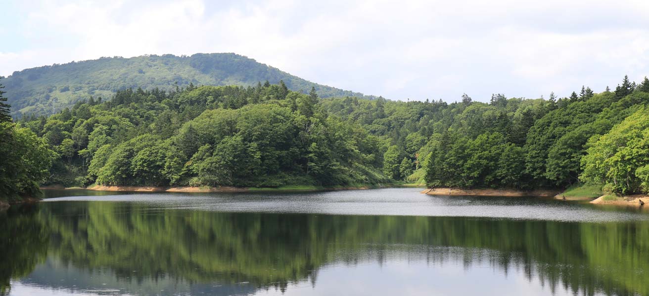 樺戸郡新十津川町