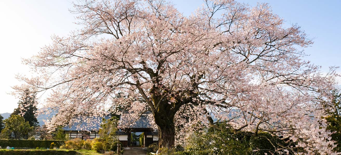 下伊那郡高森町