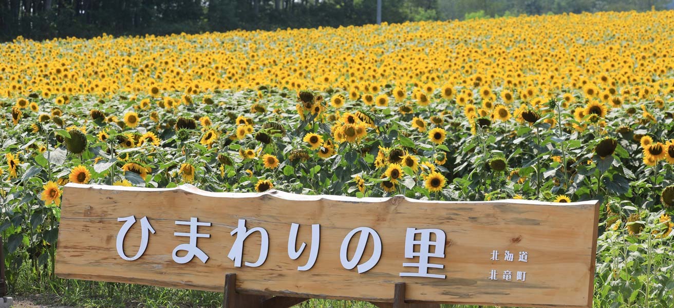 雨竜郡北竜町