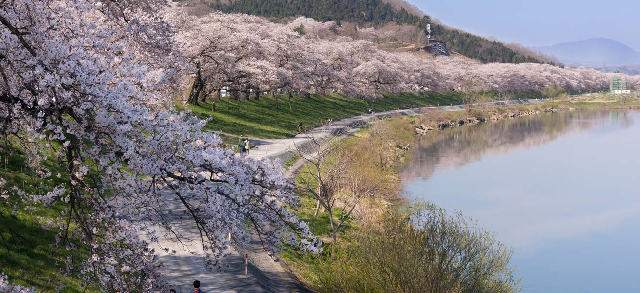 柴田郡柴田町