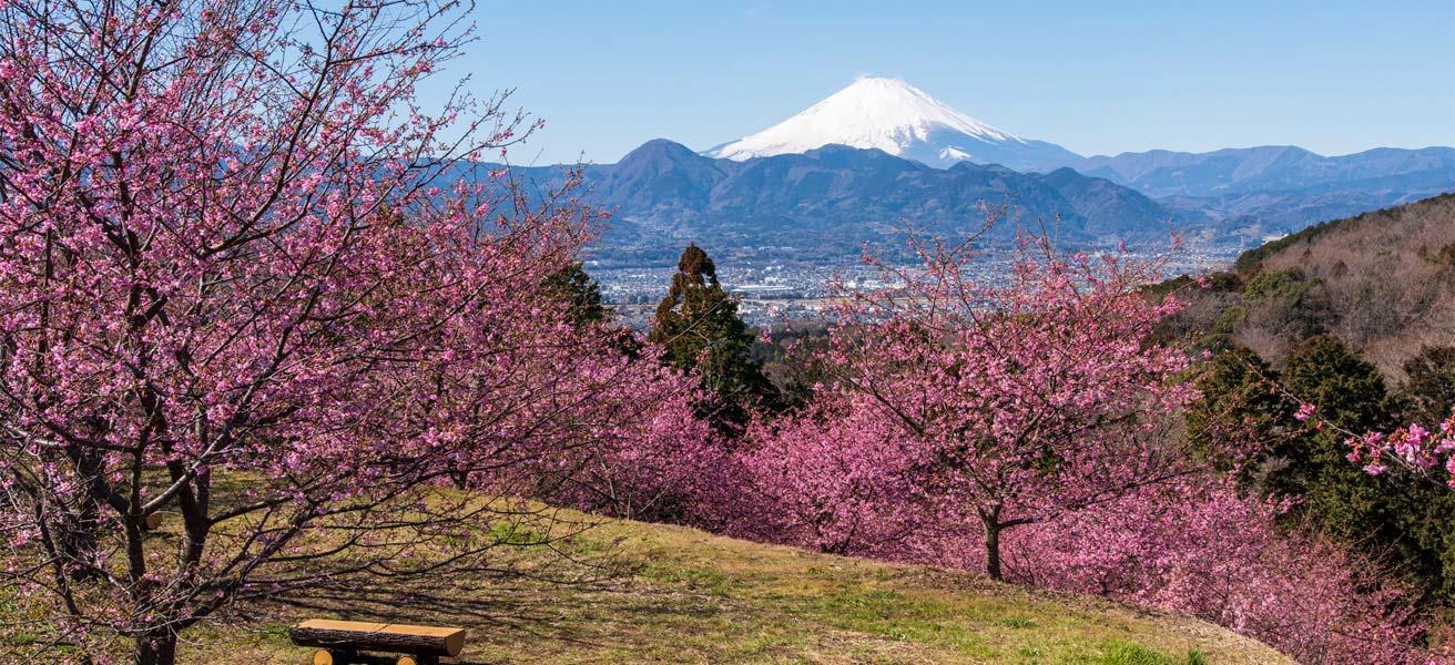 足柄上郡大井町